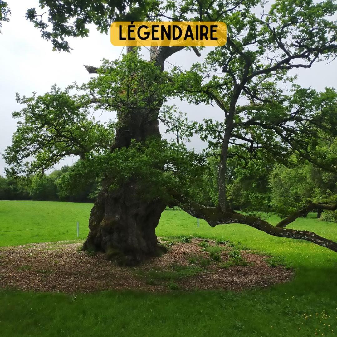 Camping Le Val Aux Fees - Broceliande Concoret Eksteriør billede